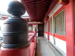 大須観音 （北野山真福寺宝生院）の本殿