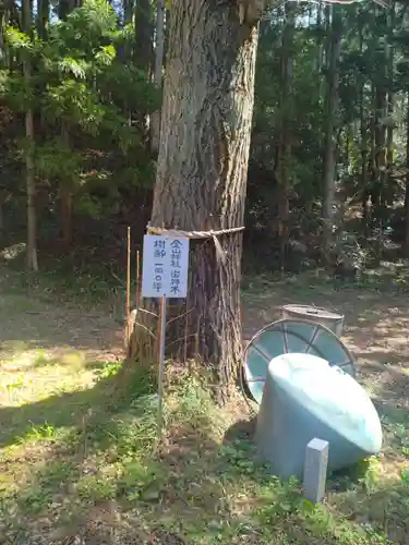金山神社(宮城県)