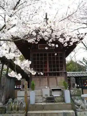 本妙寺(熊本県)