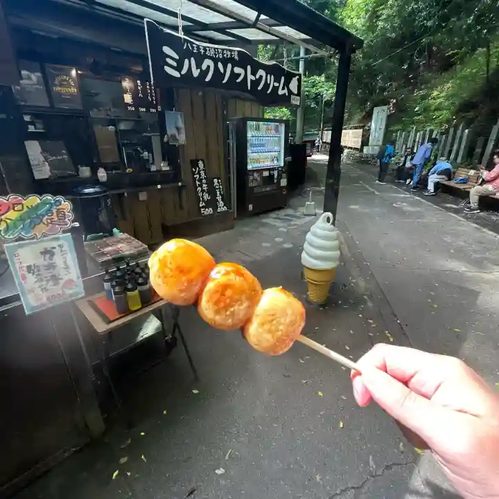 高尾山薬王院(東京都)