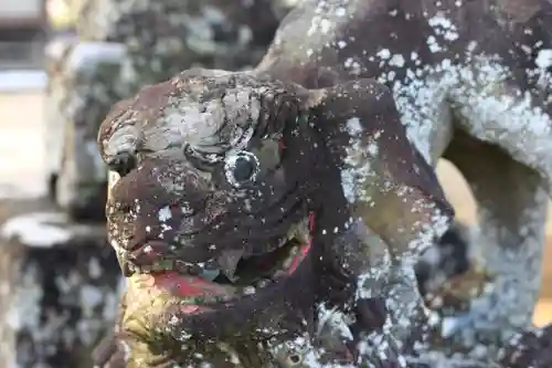 宇賀神社の狛犬