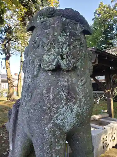 笹津神社の狛犬