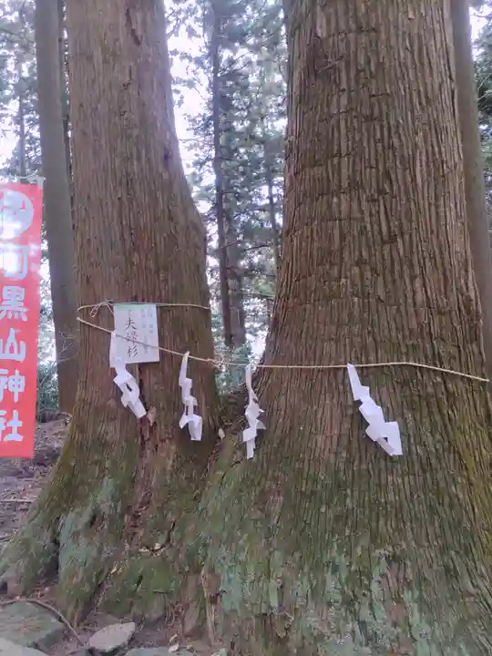 羽黒山神社(栃木県)