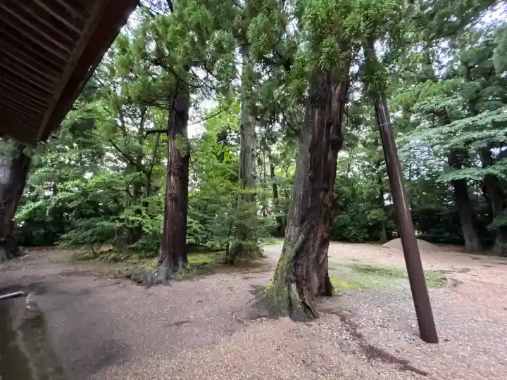 越中一宮 髙瀬神社(富山県)