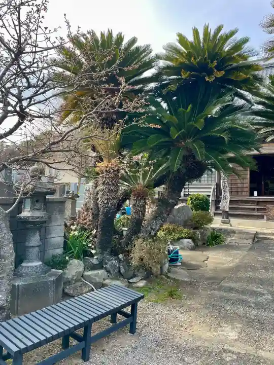 宝福寺の{uncategorized: "未分類", other: "その他", undefined: "問題あり", building: "その他建物", grave: "お墓", sacred_gate: "鳥居", guardian: "狛犬", statue: "像", buddha: "仏像", history: "歴史", nature: "自然", garden: "庭園", animal: "動物", pagoda: "塔", temizu: "手水舎", mountain_gate: "山門・神門", sanctuary: "本殿・本堂", subordinate: "末社・摂社", art: "芸術", scenery: "景色", jizo: "地蔵", ema: "絵馬", goshuin: "御朱印", omikuji: "おみくじ", items: "授与品その他", amulet: "お守り", goshuincho: "御朱印帳", eats: "食事", festival: "お祭り", votive_dance: "神楽", shichigosan: "七五三参", wedding: "結婚式", experience: "体験その他", initially: "初詣", around: "周辺", anti_infection: "感染症対策"}