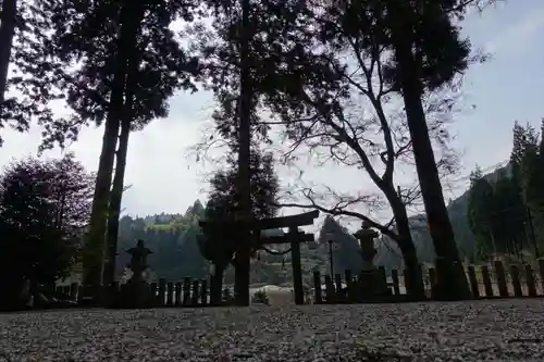 田口水分神社の自然