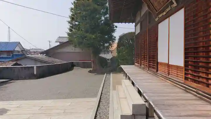 長学寺のその他建物