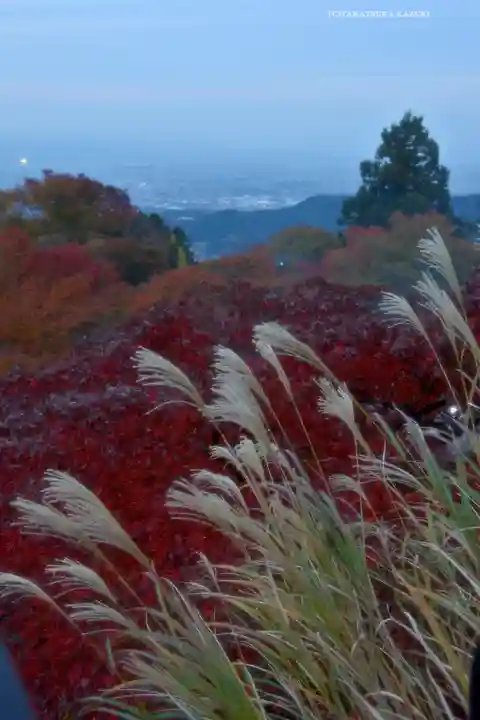 大山阿夫利神社(神奈川県)