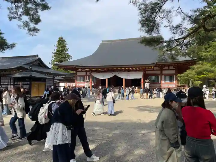 毛越寺(岩手県)
