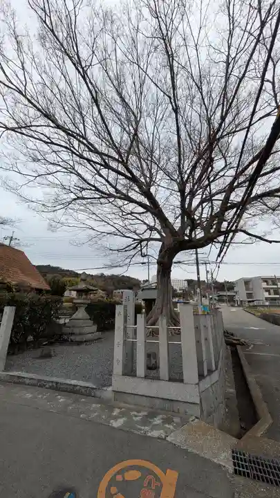 楠木神社(大阪府)