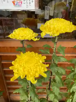 菊名神社(神奈川県)