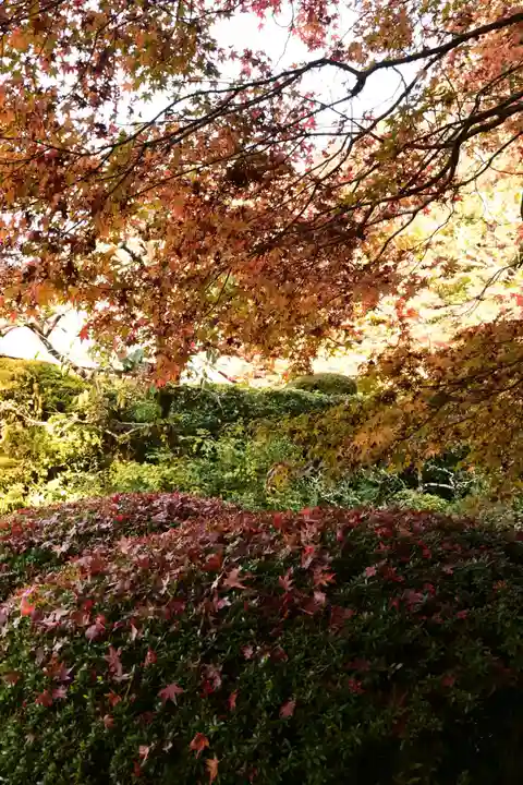 詩仙堂(丈山寺)(京都府)