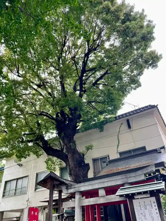 鳥越神社(東京都)