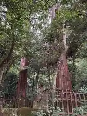 八重垣神社(島根県)