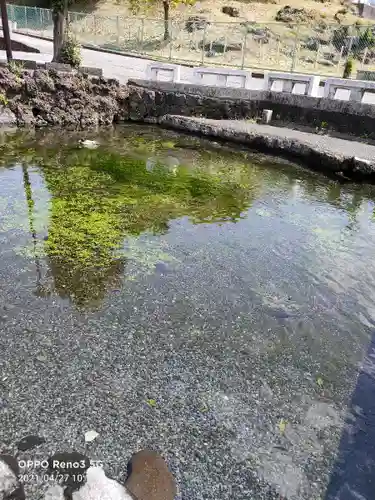 富士山本宮浅間大社の庭園