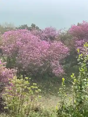 牛窓神社(岡山県)