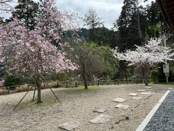 三鈷寺(京都府)