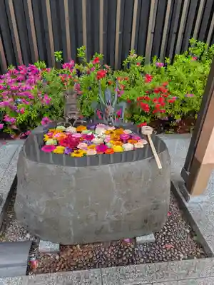 駒込妙義神社(東京都)