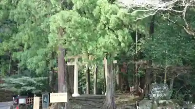 飛瀧神社(熊野那智大社別宮)の鳥居