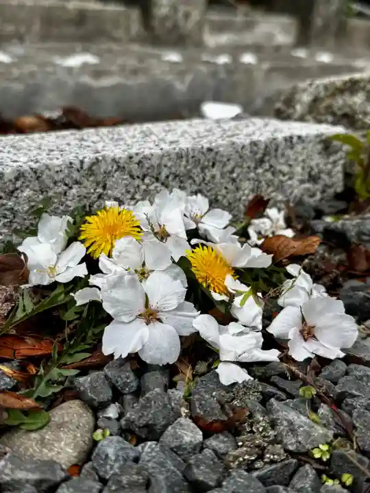 六孫王神社(京都府)