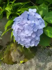 報徳二宮神社の自然