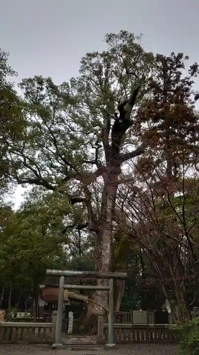 伊弉諾神宮(兵庫県)