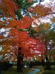 正樂寺(宮城県)