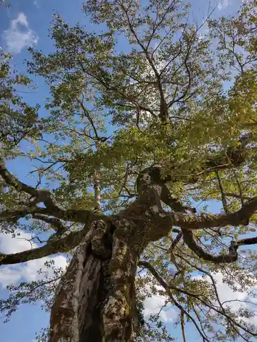 長徳寺(三重県)