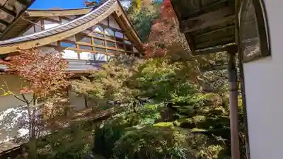 宝泉院(京都府)