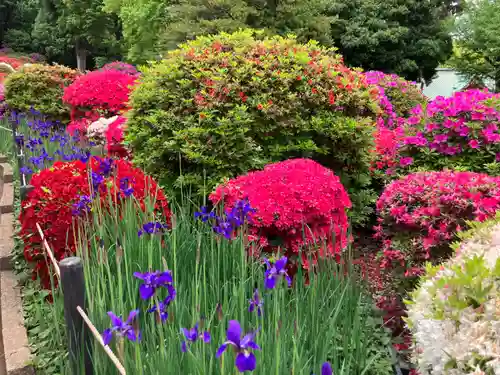 根津神社(東京都)