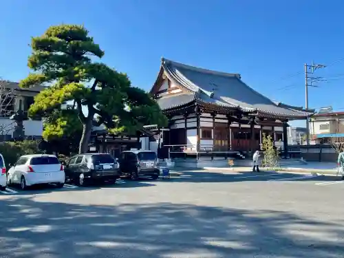 善応寺の{uncategorized: "未分類", other: "その他", undefined: "問題あり", building: "その他建物", grave: "お墓", sacred_gate: "鳥居", guardian: "狛犬", statue: "像", buddha: "仏像", history: "歴史", nature: "自然", garden: "庭園", animal: "動物", pagoda: "塔", temizu: "手水舎", mountain_gate: "山門・神門", sanctuary: "本殿・本堂", subordinate: "末社・摂社", art: "芸術", scenery: "景色", jizo: "地蔵", ema: "絵馬", goshuin: "御朱印", omikuji: "おみくじ", items: "授与品その他", amulet: "お守り", goshuincho: "御朱印帳", eats: "食事", festival: "お祭り", votive_dance: "神楽", shichigosan: "七五三参", wedding: "結婚式", experience: "体験その他", initially: "初詣", around: "周辺", anti_infection: "感染症対策"}