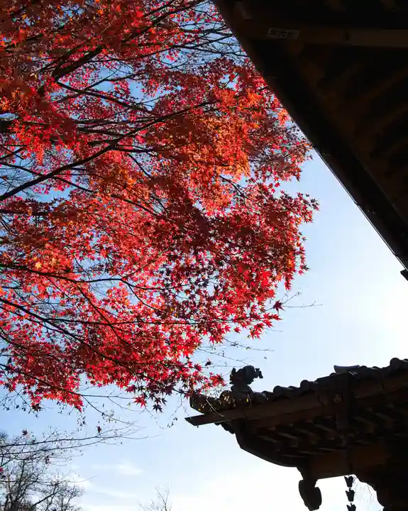 懐古神社(長野県)