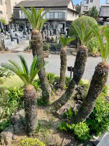 蓮馨寺(静岡県)