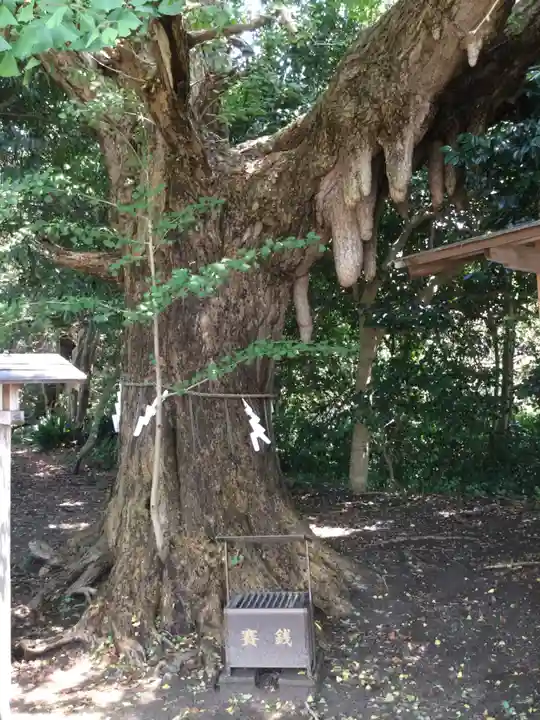 鎌数伊勢大神宮(千葉県)