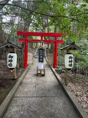 伊古奈比咩命神社(静岡県)