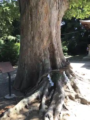 素鵞神社の自然