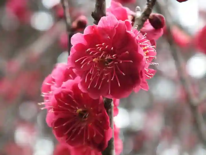 石山寺(滋賀県)