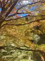 蓬莱神社の自然