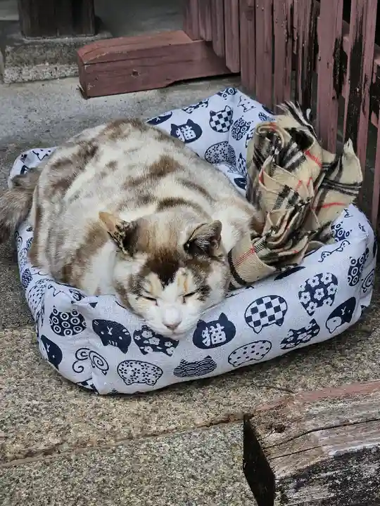 松山神社(大阪府)