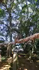 國土神社の動物