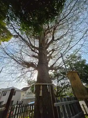 鹿嶋神社(茨城県)