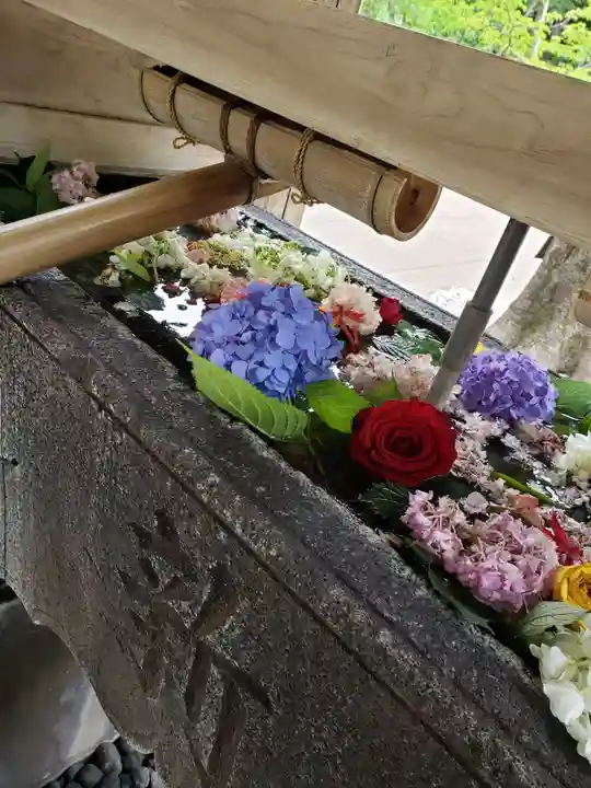 鳩森八幡神社(東京都)