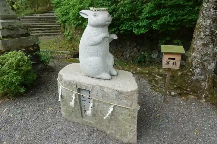 出雲大神宮の狛犬