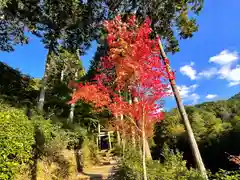 圓光寺(京都府)