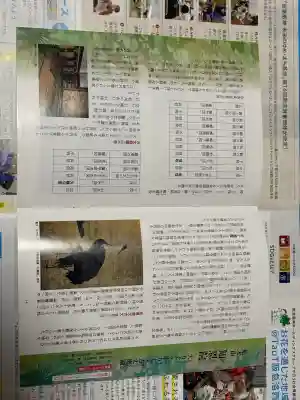 知恩院の{uncategorized: "未分類", other: "その他", undefined: "問題あり", building: "その他建物", grave: "お墓", sacred_gate: "鳥居", guardian: "狛犬", statue: "像", buddha: "仏像", history: "歴史", nature: "自然", garden: "庭園", animal: "動物", pagoda: "塔", temizu: "手水舎", mountain_gate: "山門・神門", sanctuary: "本殿・本堂", subordinate: "末社・摂社", art: "芸術", scenery: "景色", jizo: "地蔵", ema: "絵馬", goshuin: "御朱印", omikuji: "おみくじ", items: "授与品その他", amulet: "お守り", goshuincho: "御朱印帳", eats: "食事", festival: "お祭り", votive_dance: "神楽", shichigosan: "七五三参", wedding: "結婚式", experience: "体験その他", initially: "初詣", around: "周辺", anti_infection: "感染症対策"}