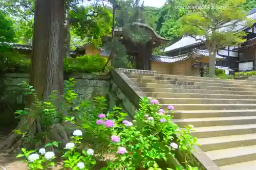 円覚寺(神奈川県)