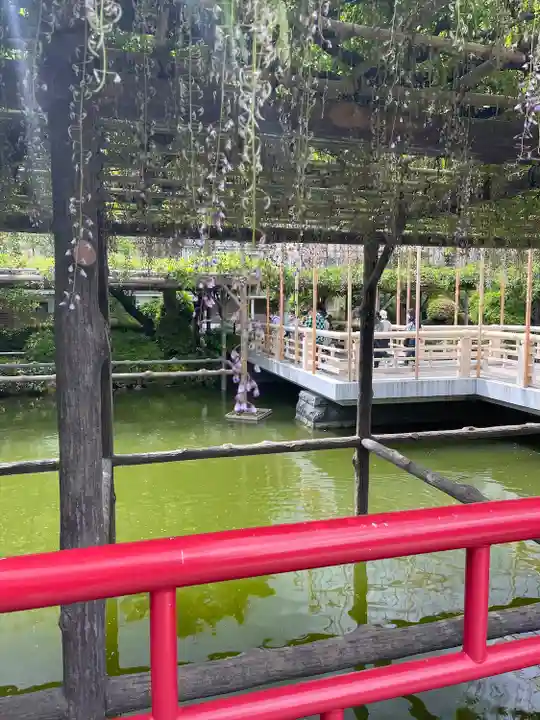 亀戸天神社の庭園