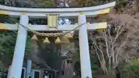 宝登山神社(埼玉県)