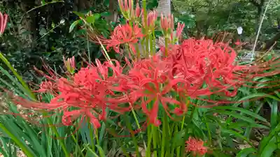 平野神社(京都府)