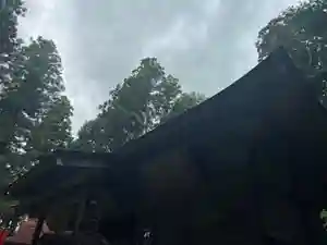 大宮温泉神社(栃木県)(2023年08月09日(水) 10時35分14秒投稿)